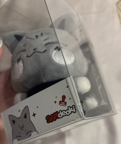 水泥咪🐈
