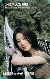 桃園觀光大使 3.0 新卡背 代言卡 