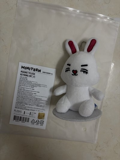崔櫻桃小盤