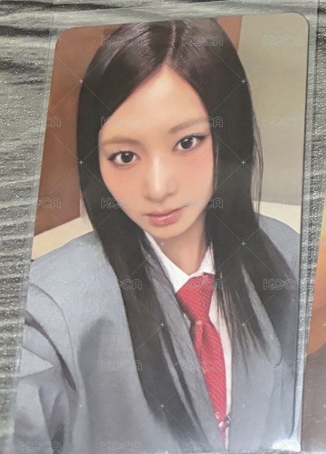 🐟正規4（5）