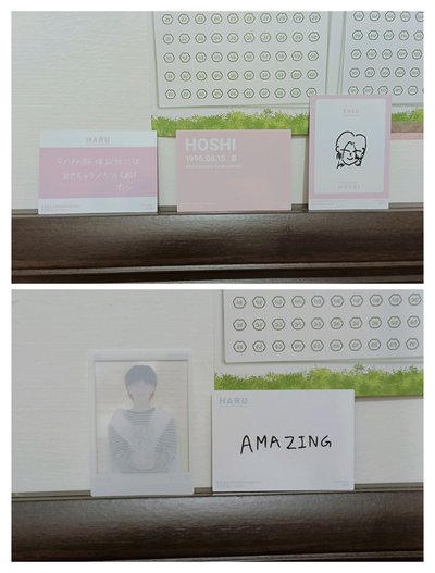 Hoshi Japan Tour HARU 日卡