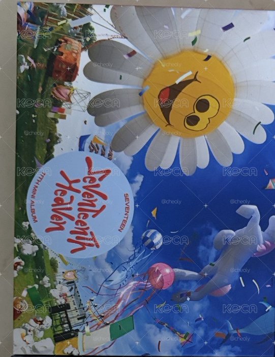 崔櫻桃小盤