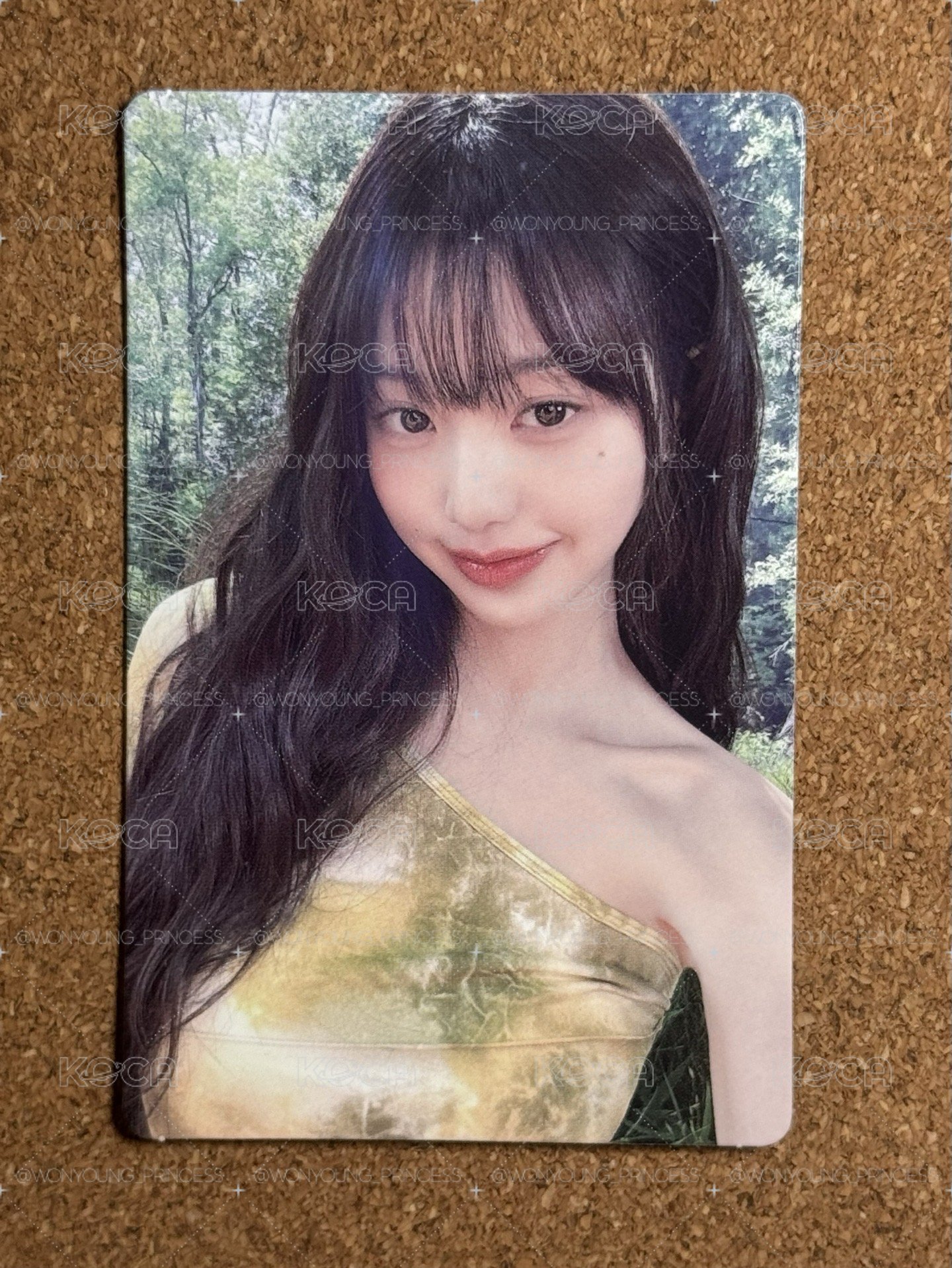 innisfree 2.0 代言卡 