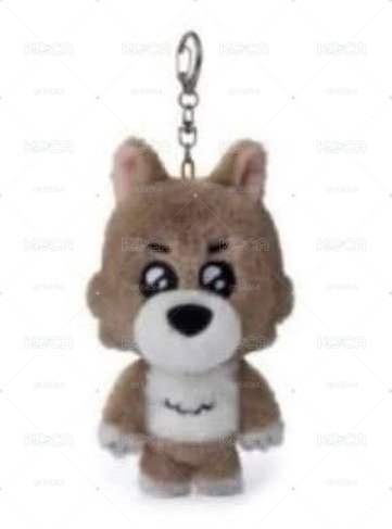 全新有原袋有證件照