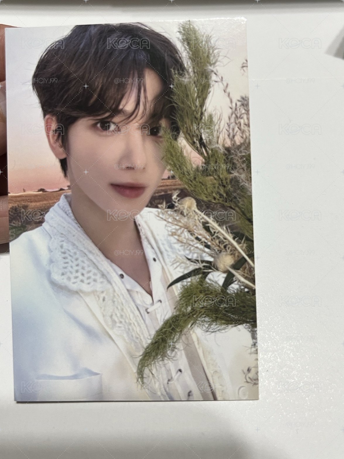 2024巡迴演唱會 粽卡顯