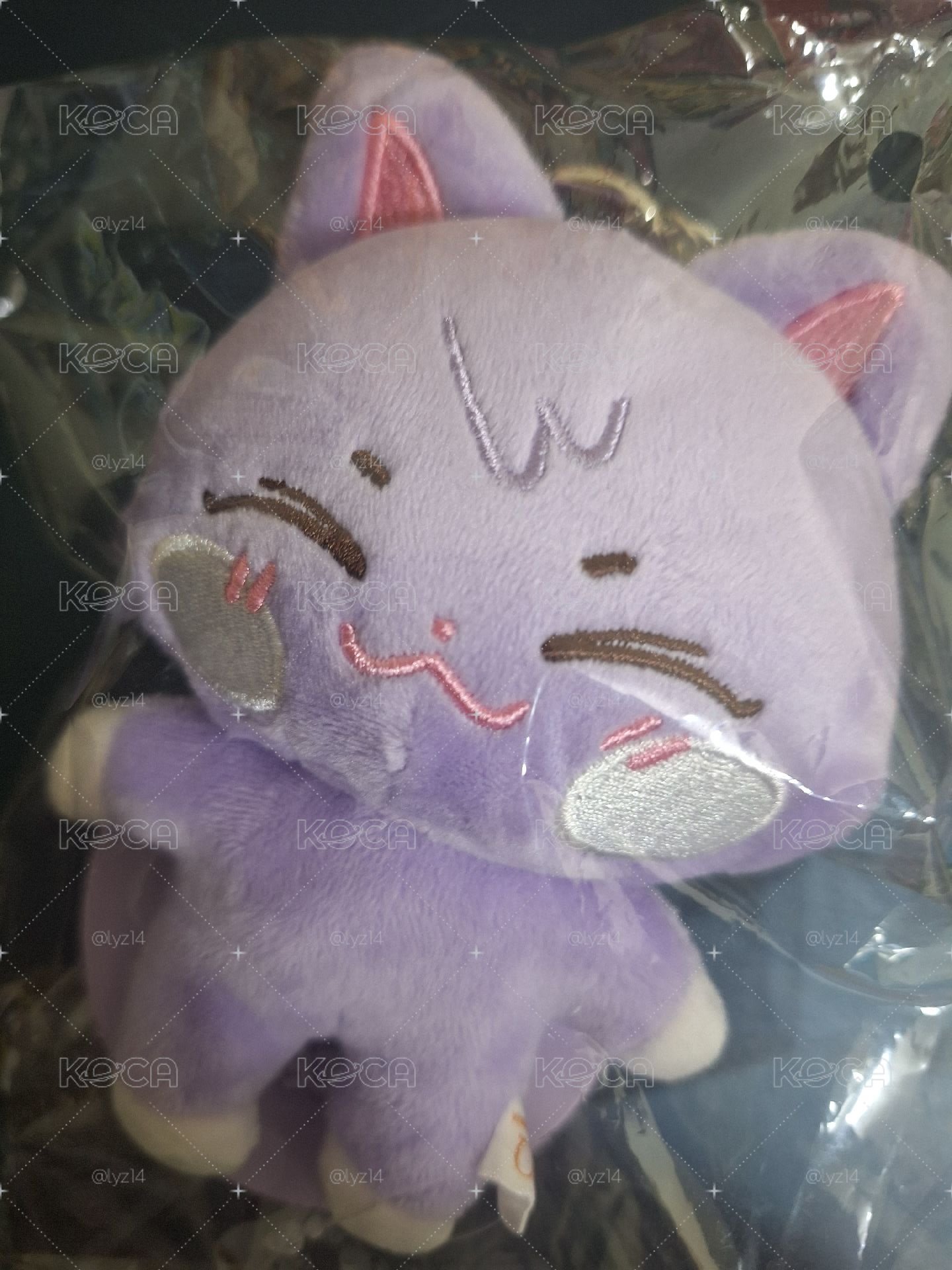 原皮傘德