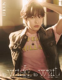 N’29寫真 D社 寫真集 B版