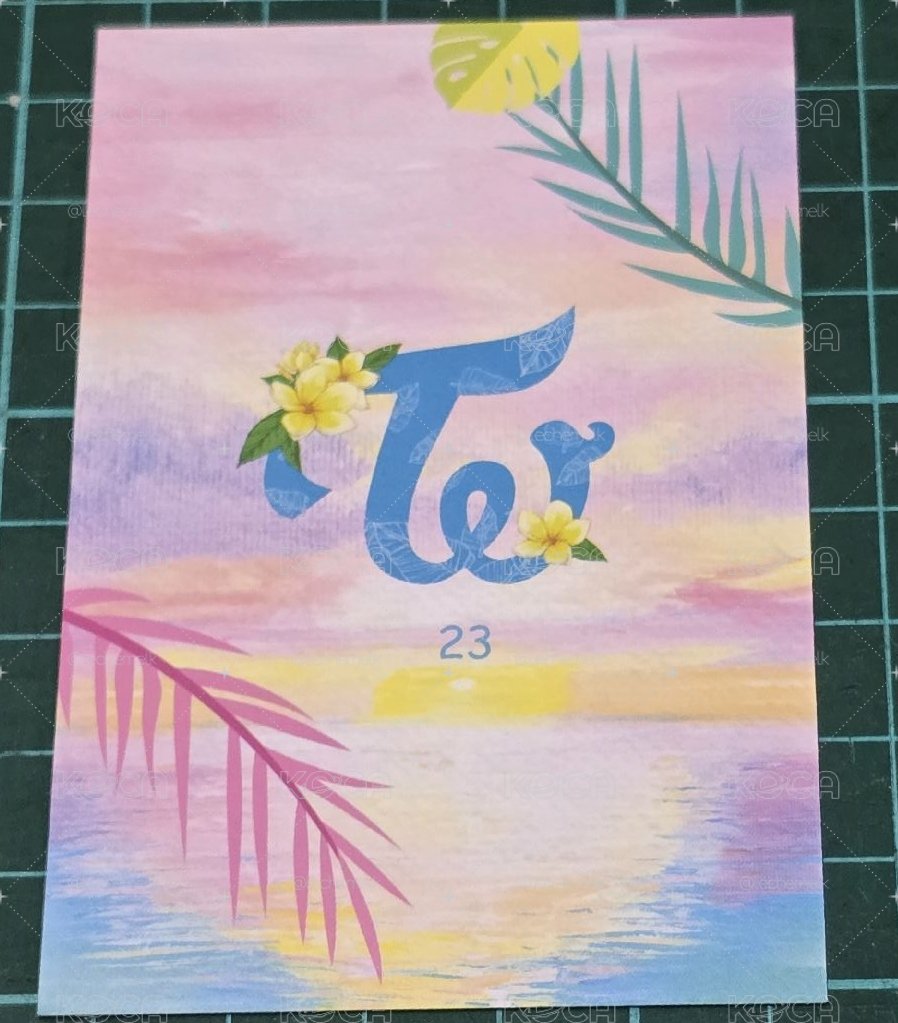 夏日隨機卡 23 志效