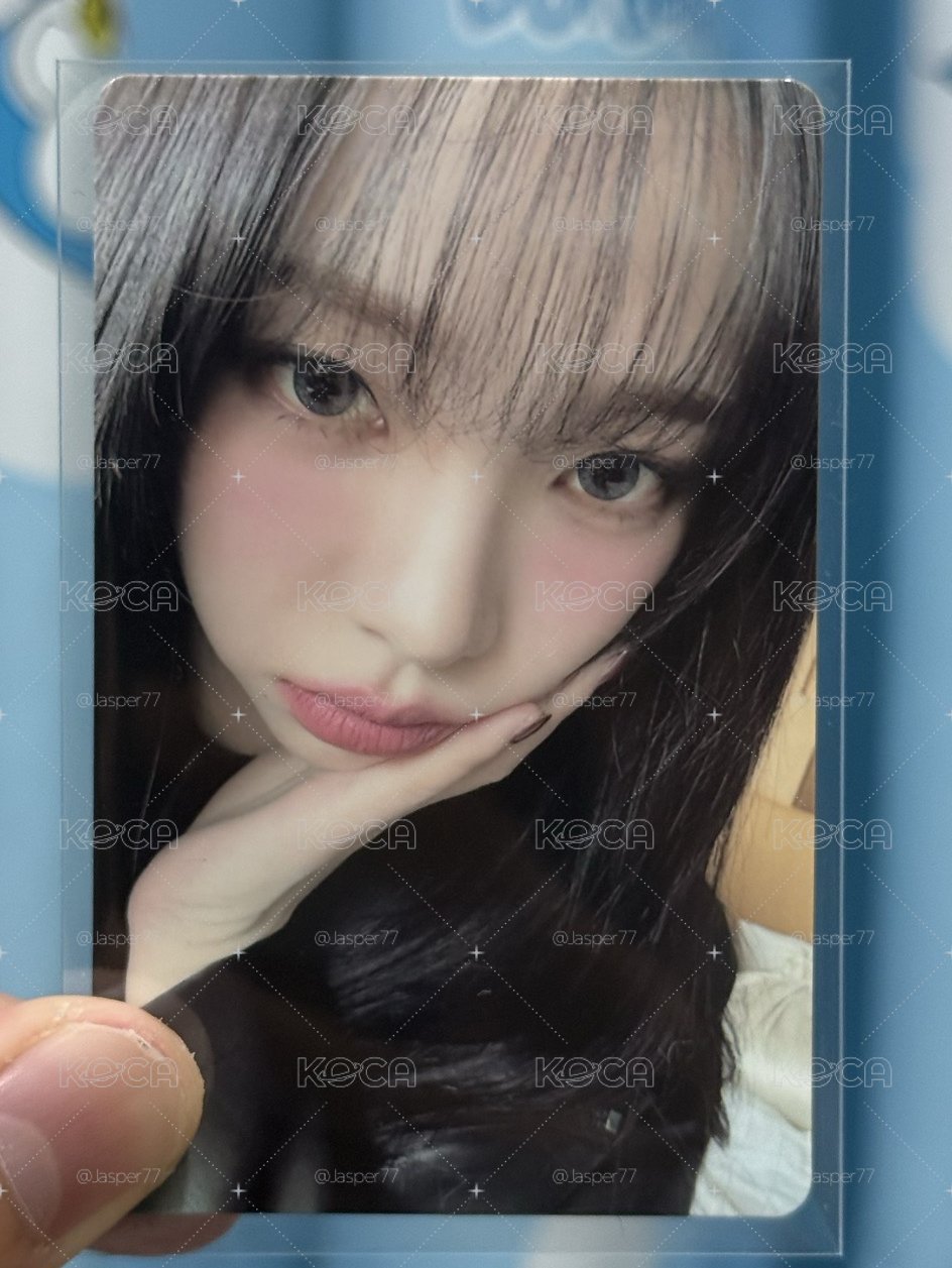 KMS聖誕簽售柚