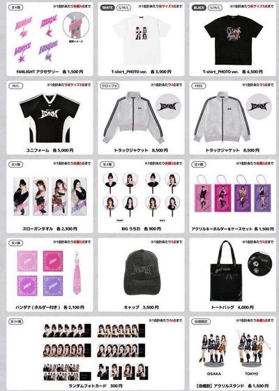 aespa 日巡 冬柚吊飾手幅 東蛋立牌 卡包（確定買到）