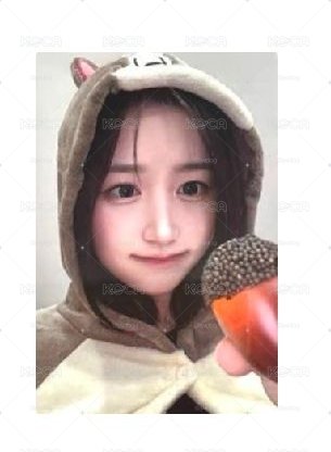 松鼠嫄