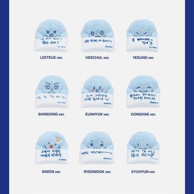 «線上預購» SJ SS10🇰🇷安可場 螢幕娃娃