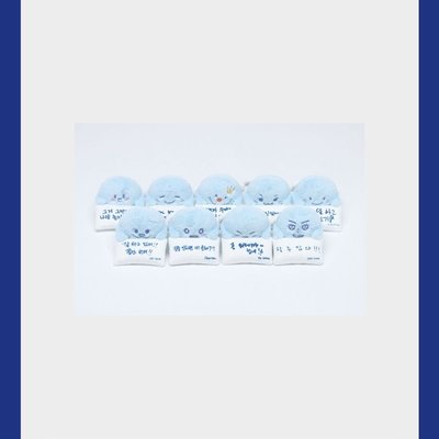 «線上預購» SJ SS10🇰🇷安可場 螢幕娃娃