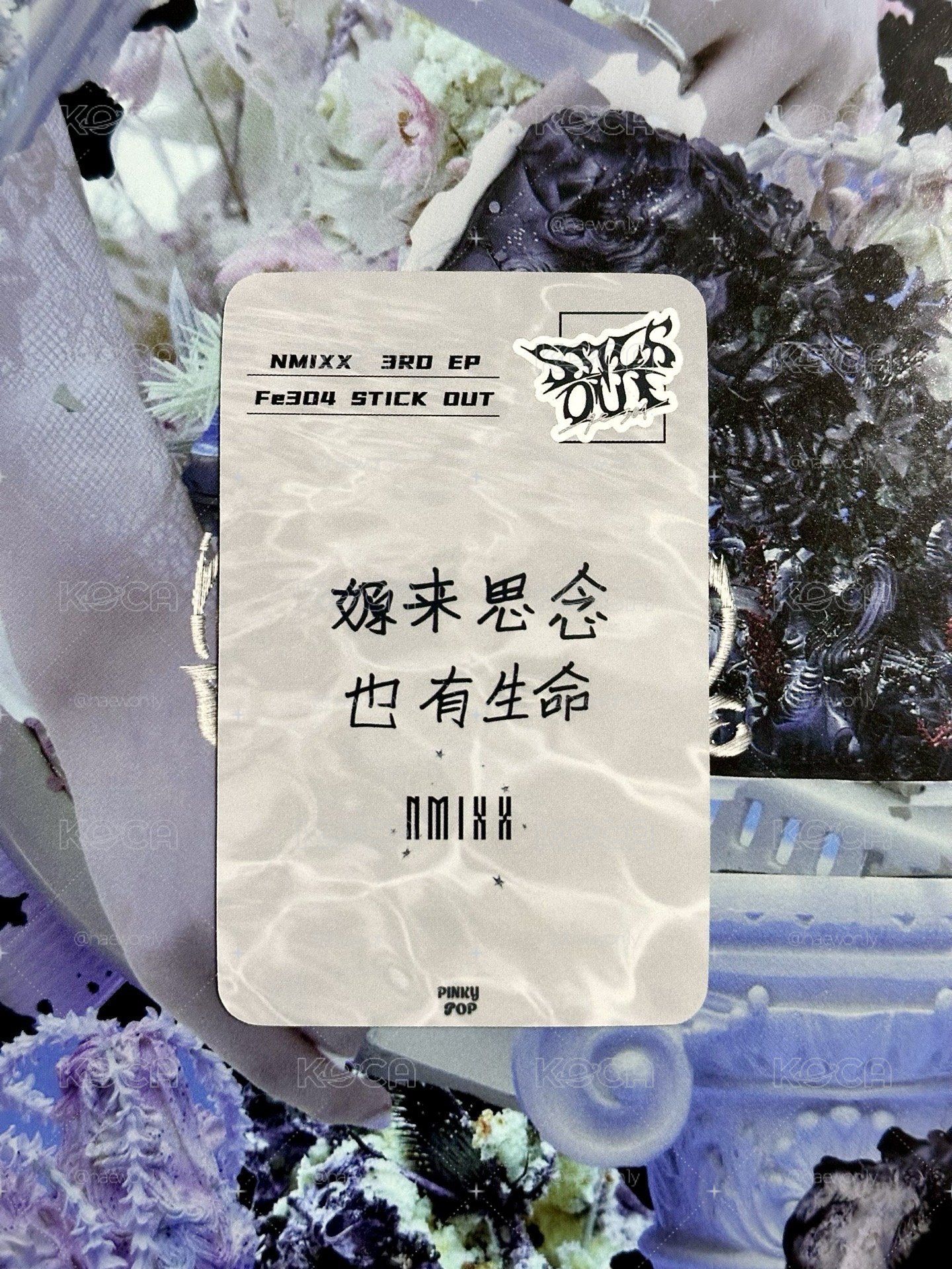 𝗽𝗶𝗻𝗸𝘆𝗽𝗼𝗽預售嫄