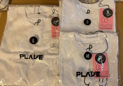PLAVE 3why MD 周邊出清 未拆封