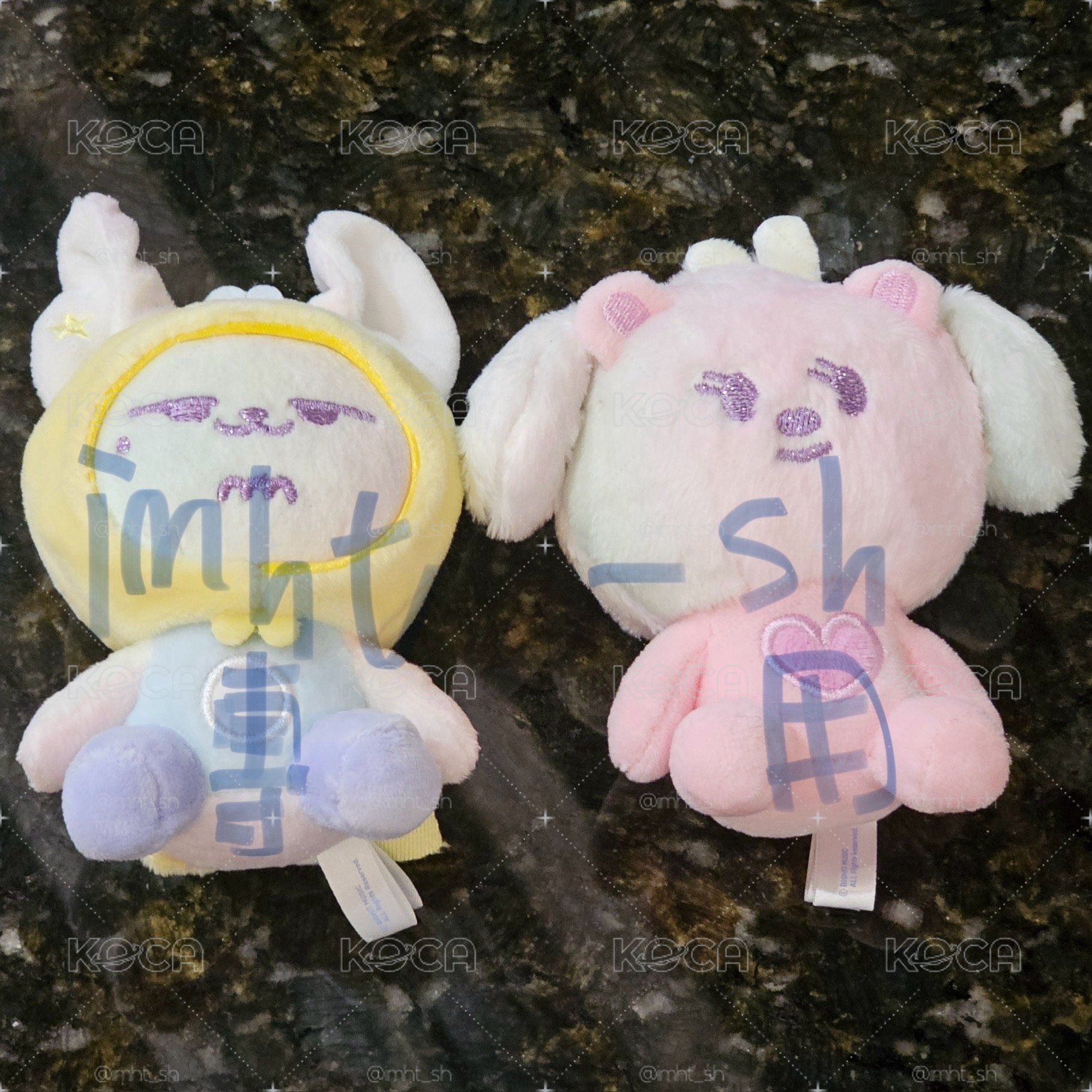 淡顏彩春彩嘻+專輯小盤