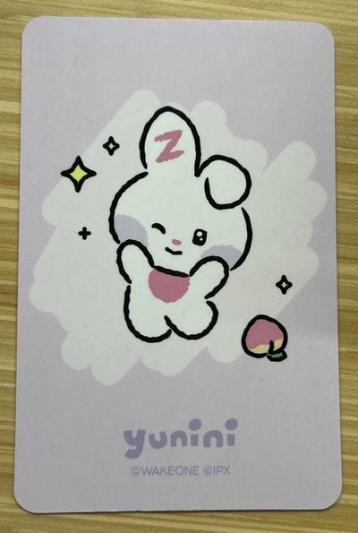 韓維辰18公分娃卡