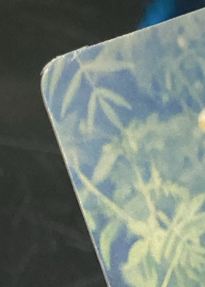 🌟丁程鑫單人小卡賣場
