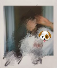 CONTINUE? fromm 未公開 / 抽選拍立得 