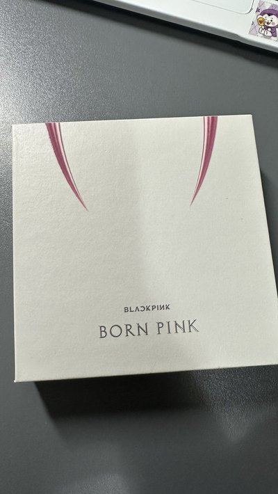 BLACKPINK BORN PINK JENNIE kit全專 