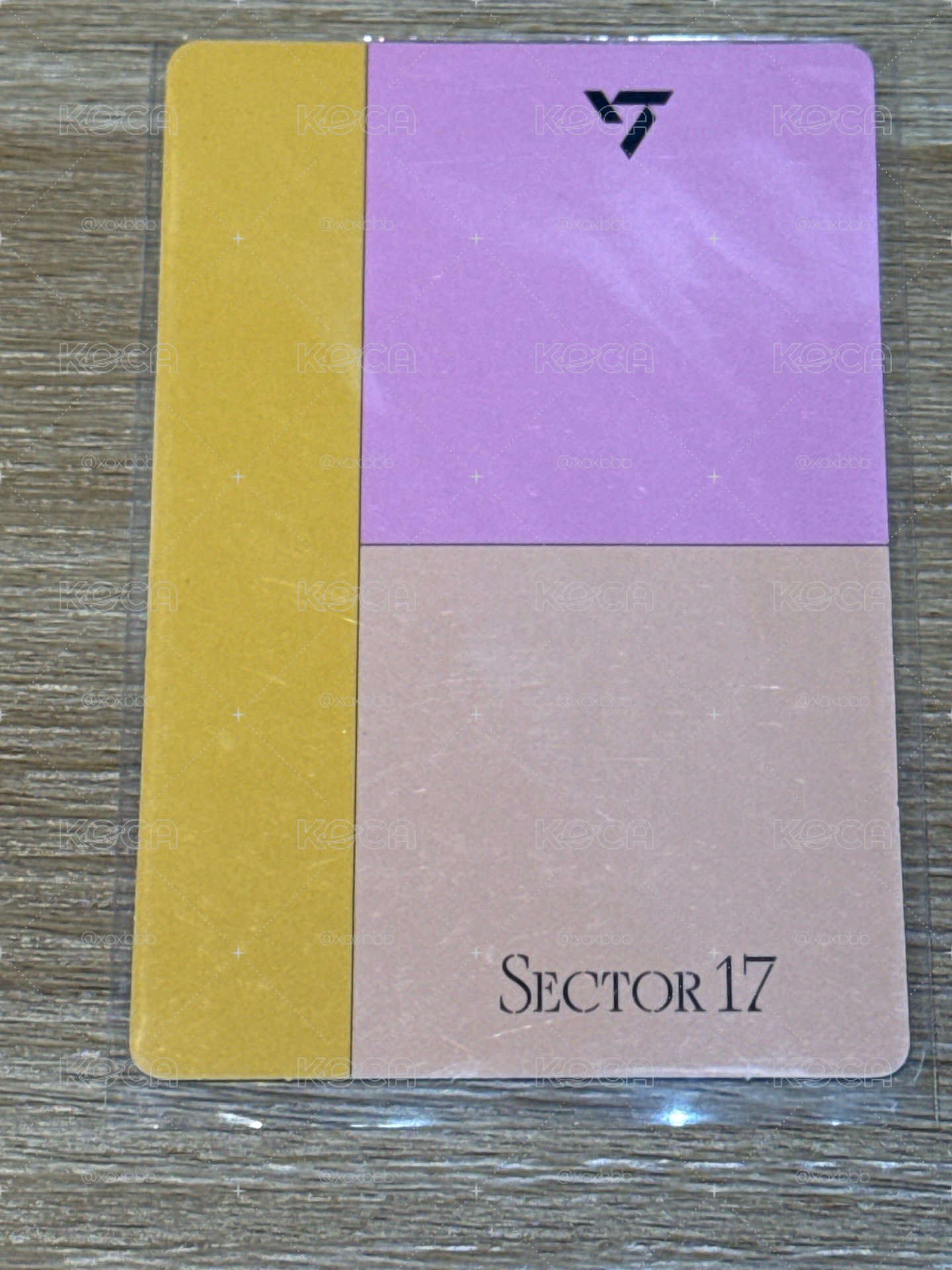 SECTOR17 權順榮