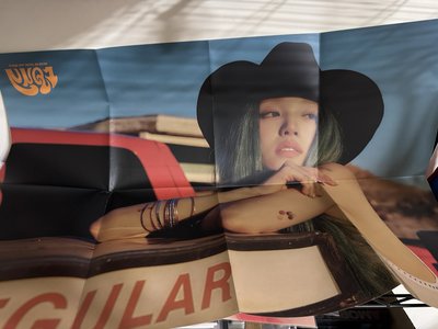 現貨 琦lo1 預售大海報 *摺疊