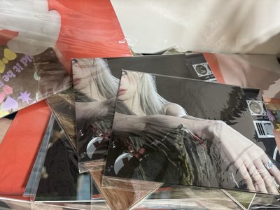 現貨 琦lo1 預售大海報 *摺疊