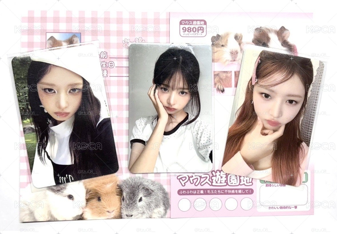 四星怜小盤🪽中背 直接發財