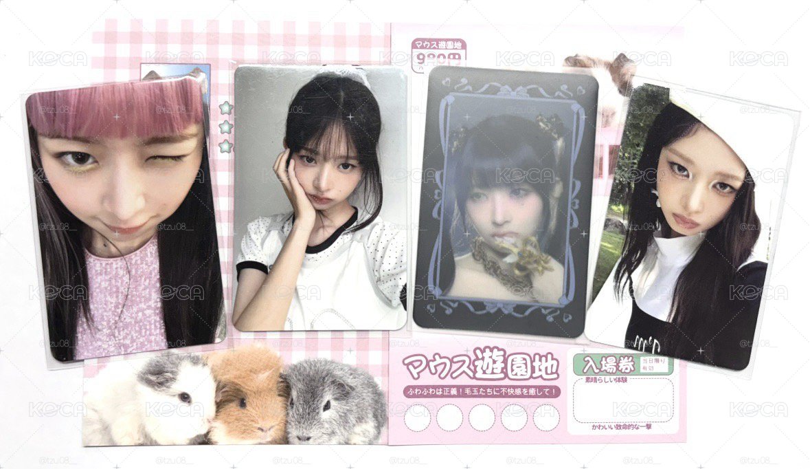 四星怜小盤🪽中背 直接發財