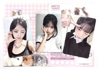 四星怜+船特怜+簽售怜