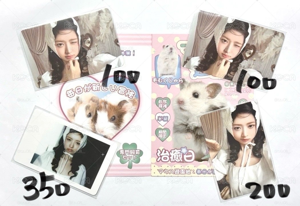 洋娃娃怜🩰🪽