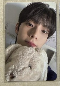 🐰