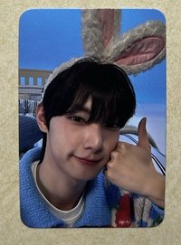 🐰