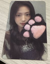 貓爪賢（有損）
