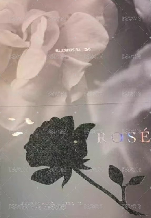 -R- 明信片 泰國特典 背面