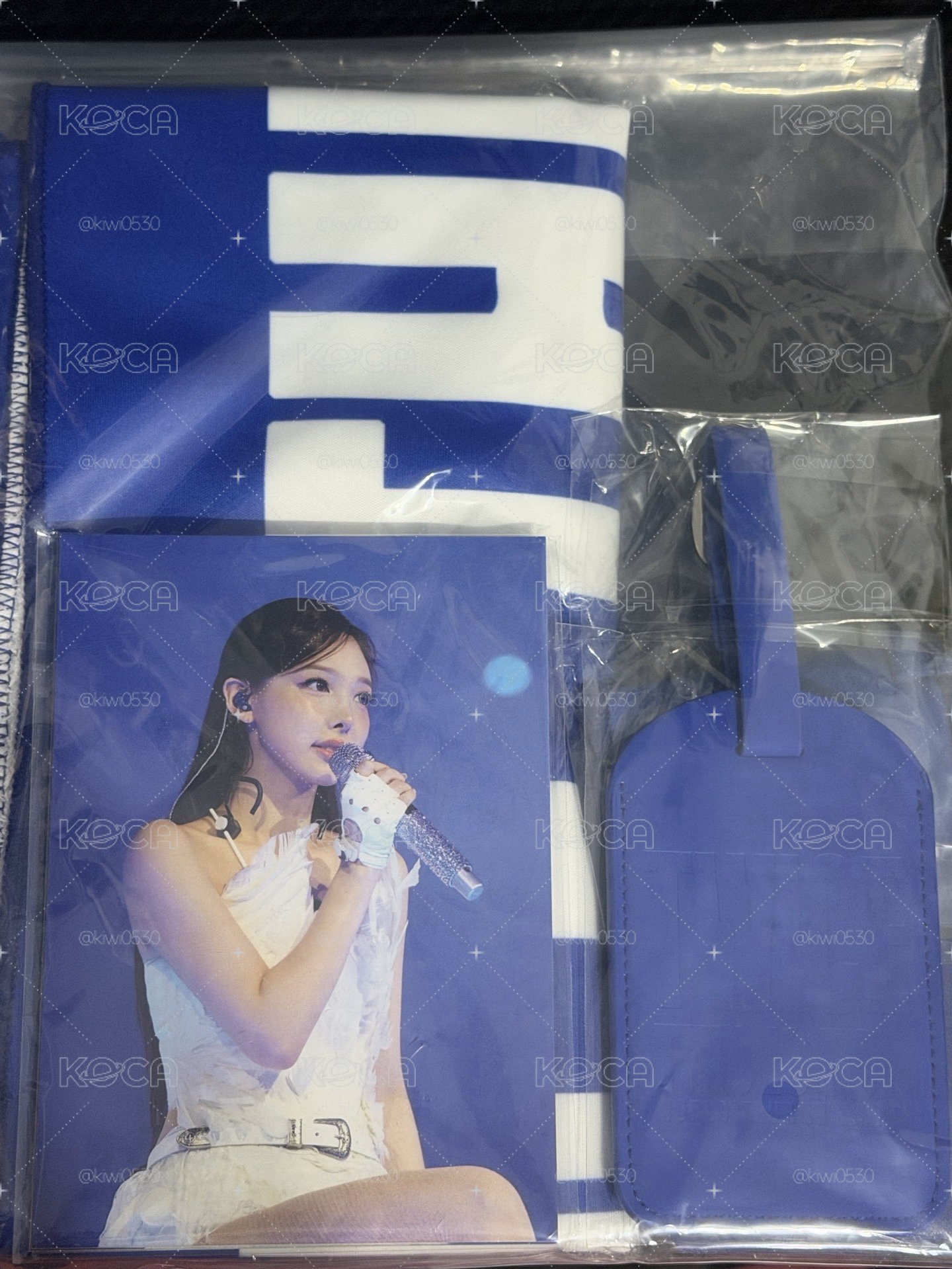TWICE演唱會 VIP入場禮