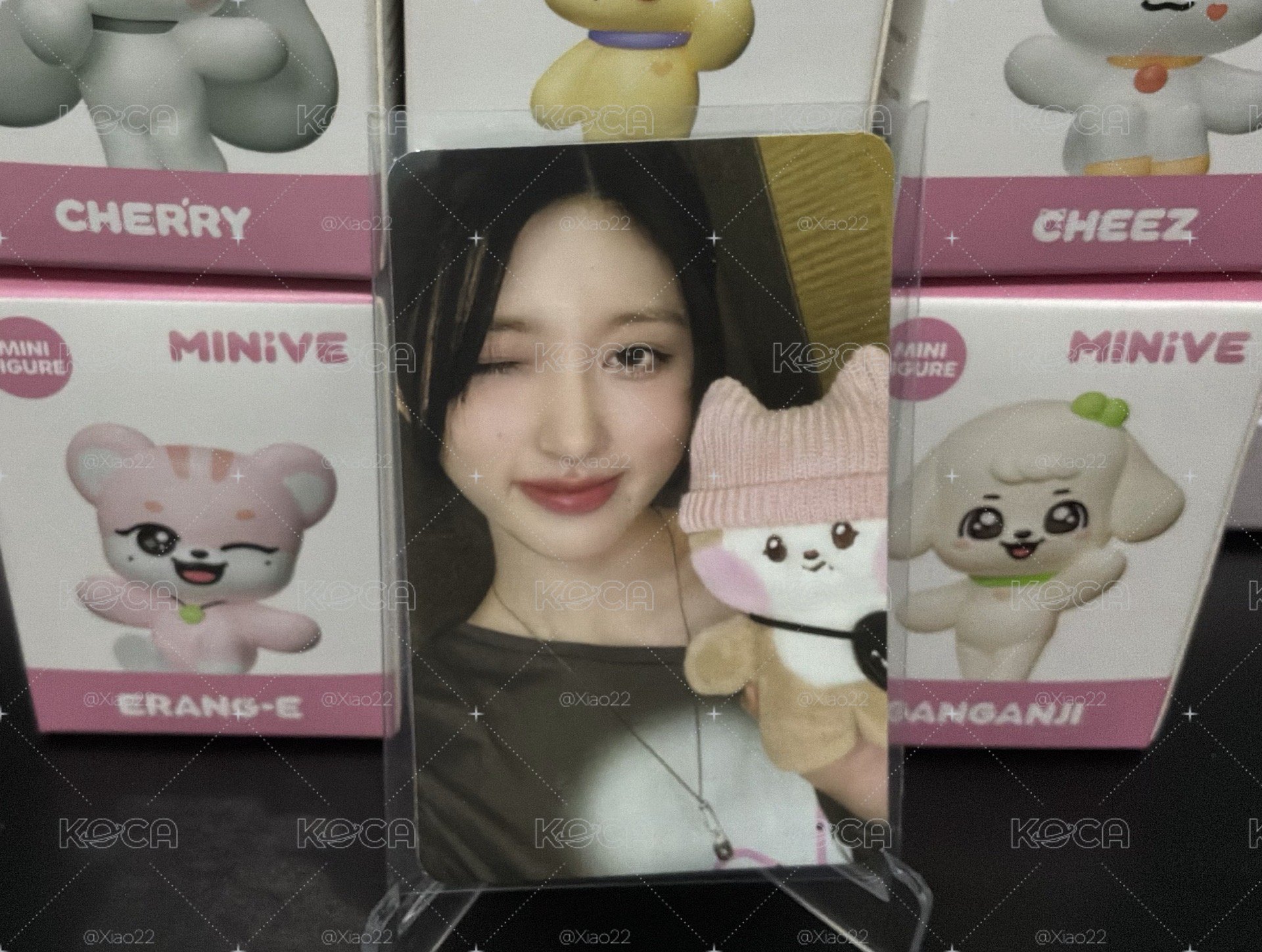 IVE SWITCH 滿額卡 Line Friends 快閃店