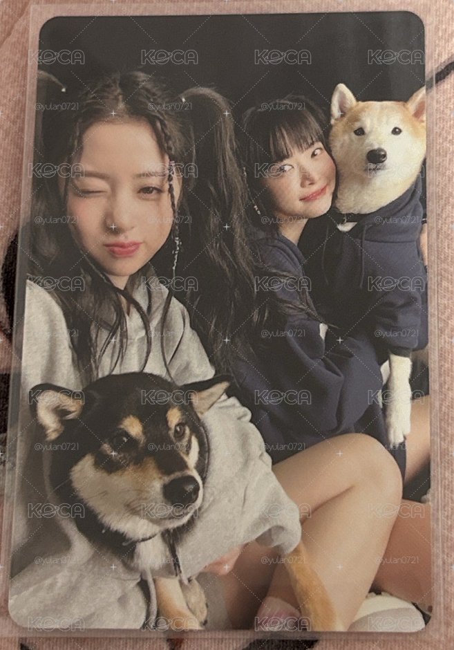 雙人狗狗🐶