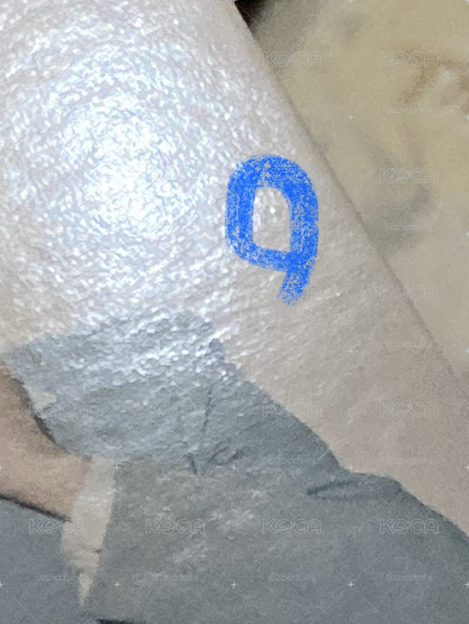 🌟劉耀文張真源參重樓SR雙人小卡
