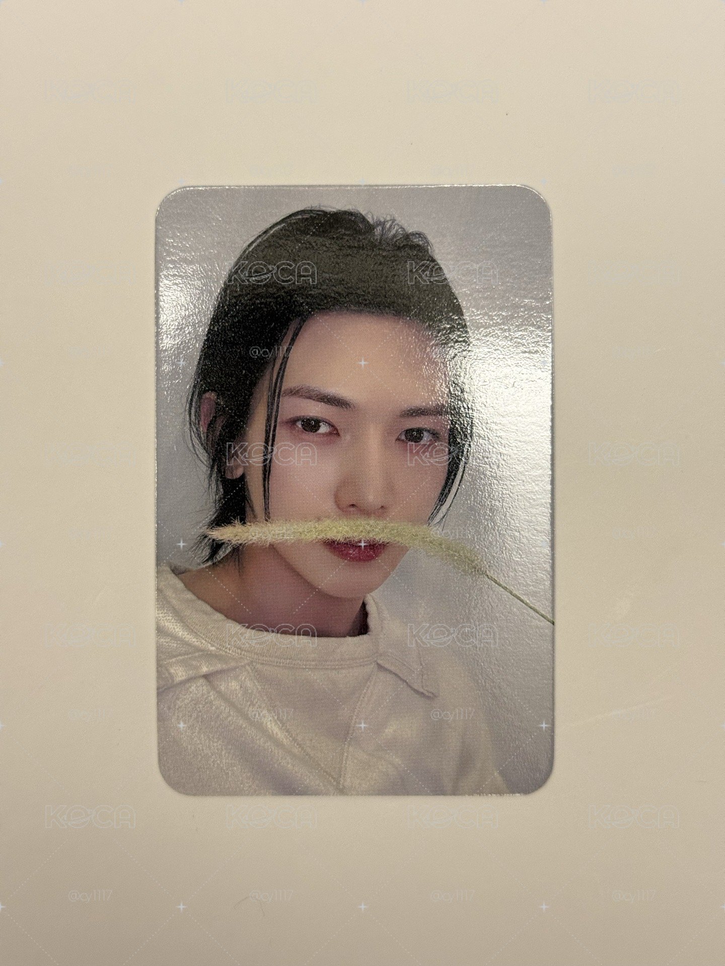 GH3 dmm 特典卡 狗尾草ver. 呂尚 🐩 🌿