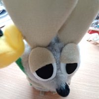 小鼠