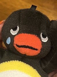 敏吶