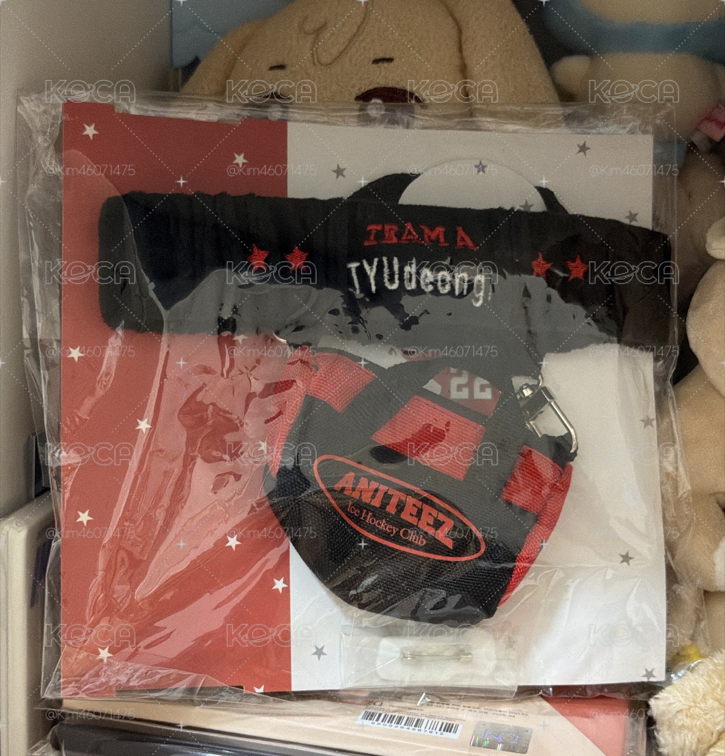 ANITEEZ IN ICE CITY 潤浩娃衣
