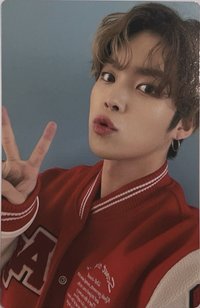 VERI UNIV. Festival 卡冊卡 周邊卡 