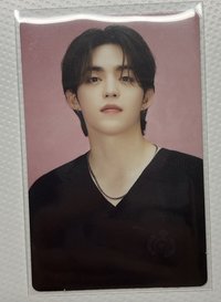 哲（臉上有一點廠損）