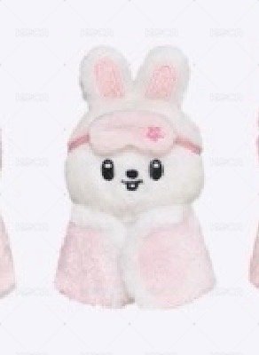 10cm🐰