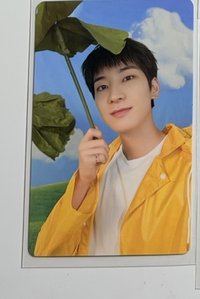 迷11 克拉盤 荷葉雨傘圓