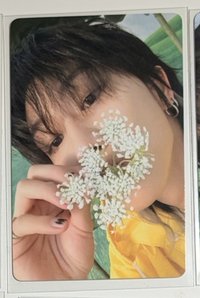 迷11 克拉盤 專卡1
