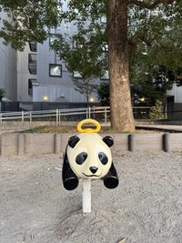 kangcc
