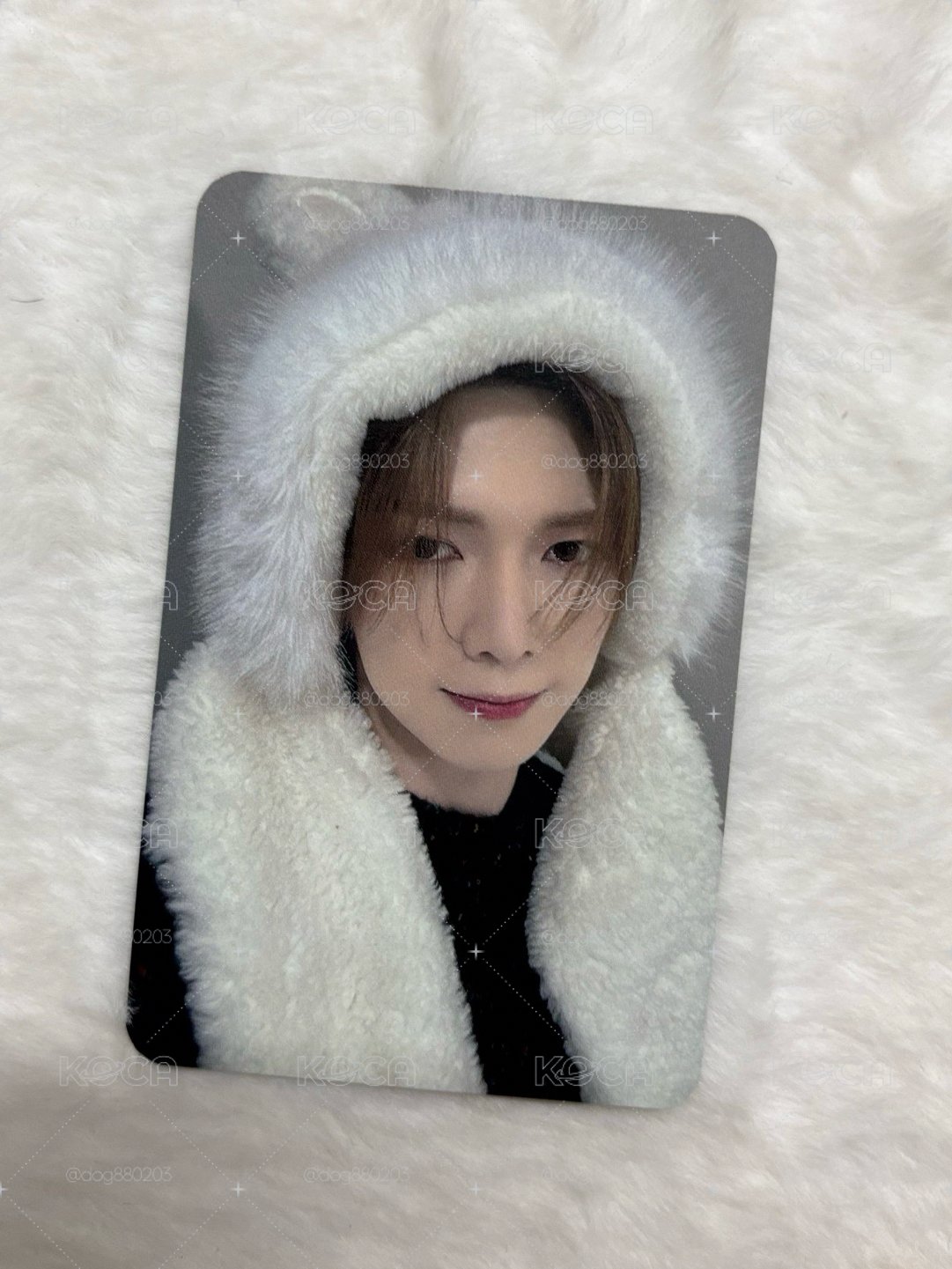 GH2 ju 白兔尚🐰